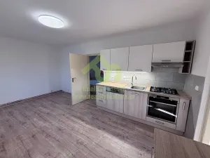 Pronájem rodinného domu, Rokycany, Stará cesta, 41 m2