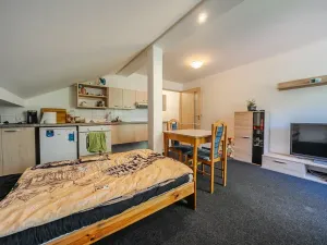 Prodej ubytování, Odry, 500 m2