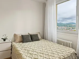 Prodej bytu 1+1, Ústí nad Labem - Střekov, Nová, 42 m2
