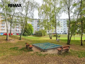 Prodej bytu 1+1, Plzeň, Revoluční, 40 m2