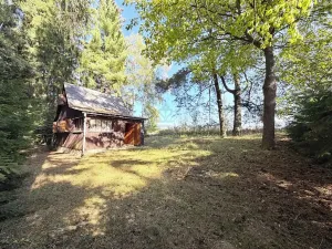 Prodej chaty, Borová, 53 m2
