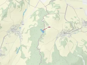Dražba lesa, Zálezly, 4542 m2