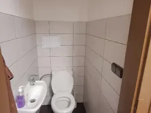 Prodej bytu 3+kk, Mladá Boleslav, Železná, 69 m2