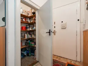 Prodej bytu 3+kk, Praha - Vinohrady, Kouřimská, 87 m2