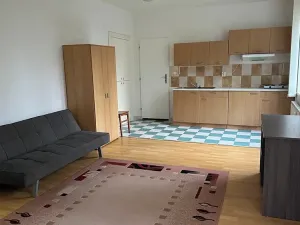 Pronájem bytu 1+kk, Průhonice, U Křížku, 35 m2
