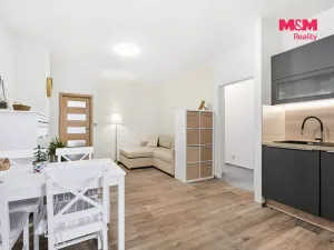 Prodej bytu 3+kk, Velemín - Oparno, 43 m2