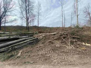 Prodej pozemku, Horní Stropnice - Šejby, 704 m2