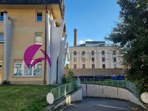 Pronájem garážového stání, Olomouc, Wellnerova, 14 m2