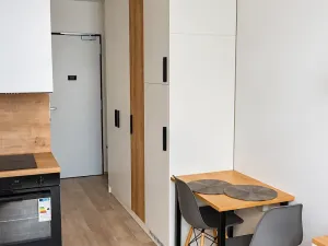 Pronájem bytu 1+kk, Praha - Smíchov, Plzeňská, 20 m2