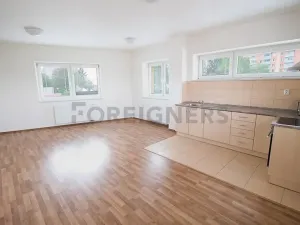 Pronájem bytu 1+kk, Brno, Jemelkova, 36 m2