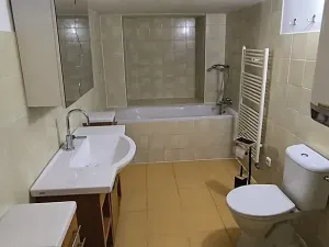 Pronájem bytu 2+kk, Cheb, Mánesova, 60 m2
