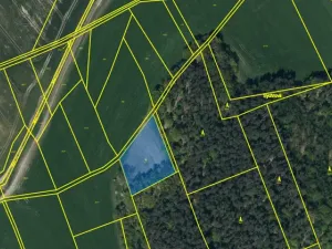 Prodej louky, Ostřetín - Vysoká u Holic, 2972 m2