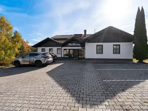 Prodej bytu 2+1, Bayerisch Eisenstein, Německo, Brennesstraße, 55 m2