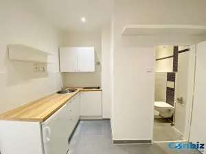 Prodej bytu 1+1, Praha - Karlín, Peckova, 29 m2