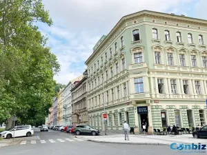 Prodej bytu 1+1, Praha - Karlín, Peckova, 29 m2