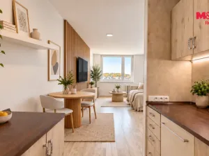Prodej bytu 2+kk, Mladá Boleslav, Jana Palacha, 42 m2