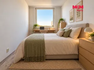 Prodej bytu 2+kk, Mladá Boleslav, Jana Palacha, 42 m2