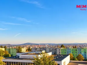 Prodej bytu 2+kk, Plzeň - Severní Předměstí, Sokolovská, 40 m2