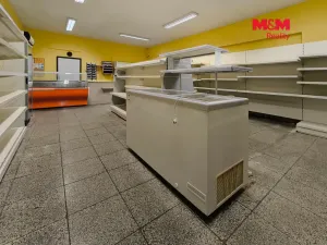 Pronájem obchodního prostoru, Bystřice nad Pernštejnem - Domanín, 151 m2