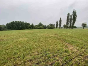 Prodej pole, Rabí - Bojanovice, 22978 m2