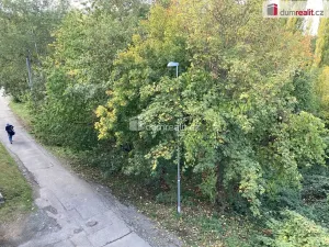 Pronájem bytu 2+kk, Plzeň, Na Roháči, 64 m2