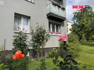 Prodej bytu 2+1, Praha - Žižkov, Osiková, 53 m2
