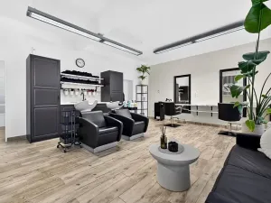 Prodej vily, České Budějovice, Chelčického, 489 m2