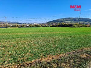 Prodej pole, Sentice, 24461 m2