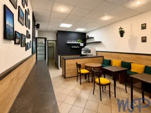 Prodej obchodního prostoru, Třebíč, Hasskova, 240 m2