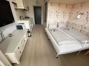 Pronájem bytu 1+kk, Slapy, 31 m2