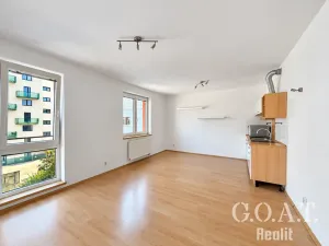 Prodej bytu 1+kk, Plzeň, Karlova, 42 m2