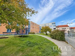 Prodej bytu 1+kk, Plzeň, Karlova, 42 m2