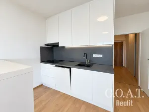 Prodej bytu 2+kk, Klatovy, K Čínovu, 56 m2