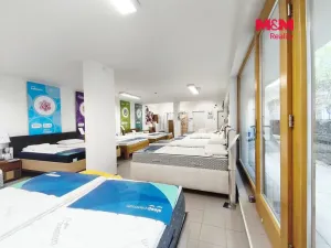 Pronájem obchodního prostoru, Praha, Drahobejlova, 172 m2
