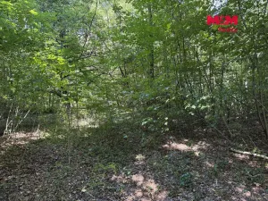 Prodej pozemku pro bydlení, Řepiště, 3402 m2