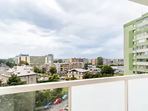 Pronájem bytu 1+1, Olomouc, Foerstrova, 44 m2