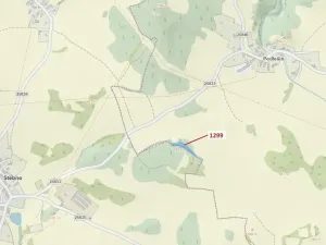 Dražba lesa, Stebno, 2275 m2