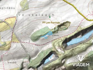 Prodej lesa, Vysoký Újezd, 2471 m2
