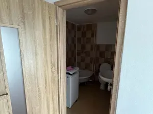 Pronájem bytu 1+1, Ondratice, 38 m2