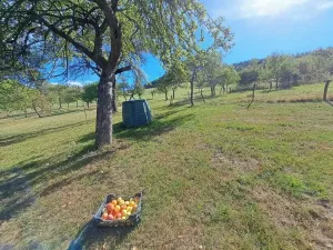 Prodej chalupy, Prlov, 180 m2
