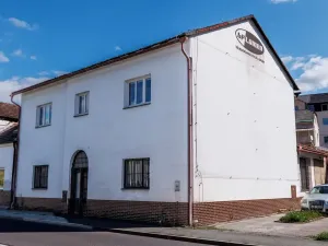 Prodej obchodního prostoru, Úpice, Palackého, 836 m2