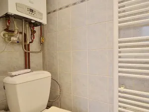 Prodej bytu 2+kk, Ústí nad Labem, Důlce, 30 m2