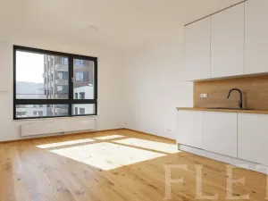 Pronájem bytu 2+kk, Praha - Nusle, Závišova, 54 m2
