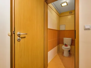 Prodej bytu 3+kk, Šestajovice, Komenského, 116 m2