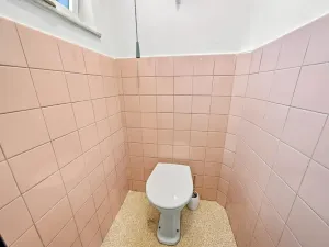 Prodej vily, Ústí nad Labem, Litoměřická, 254 m2