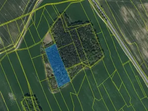 Prodej lesa, Ostřetín - Vysoká u Holic, 11957 m2