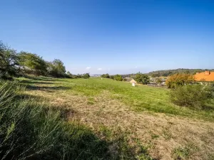 Prodej pozemku pro bydlení, Daleké Dušníky, 5258 m2