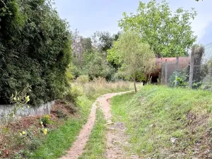 Prodej pozemku pro bydlení, Daleké Dušníky, 5258 m2