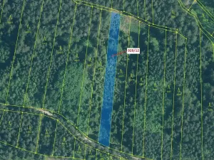 Dražba lesa, Hosty, 1517 m2