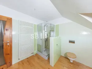 Prodej rodinného domu, Borová, 230 m2